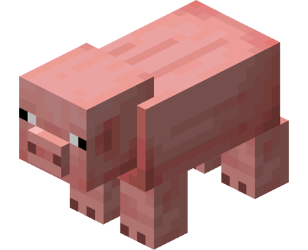 Pig