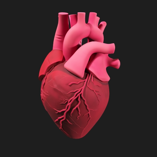Ultra-realistic 3D human heart beating rhythmically, anatomically correct, detailed veins and arteries, glossy wet texture, subtle blood flow effect, slow continuous 360° rotation, smooth animation, cinematic lighting, dark studio background, depth of field, high detail, medical visualization style, 4K render