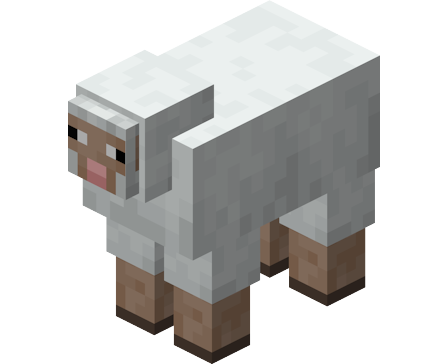Sheep