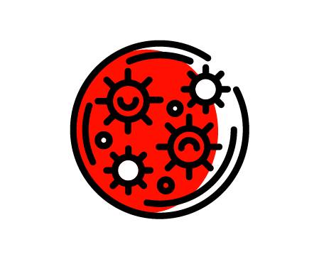 Collezione microscopica