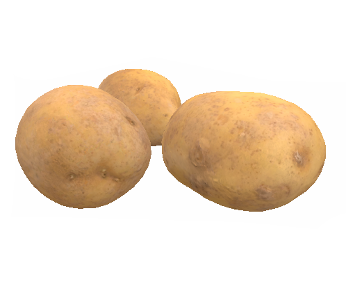 Potato