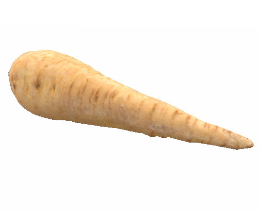 Carrot