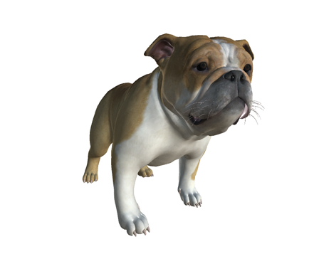 Bulldog by Nyilonelycompany