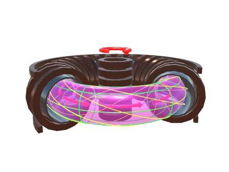 Tokamak Nuclear Fusion