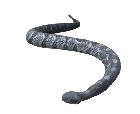 Timber Rattlesnake by DigitalLife3D