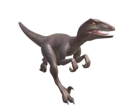 Velociraptor by D.art