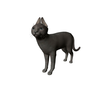 The Cat by Nyilonelycompany