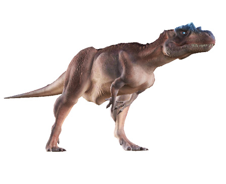 Allosaurus Fragilis by Kyan0s