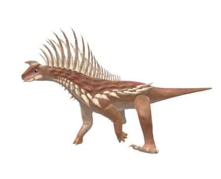 Shringapelta by J-Jurassic