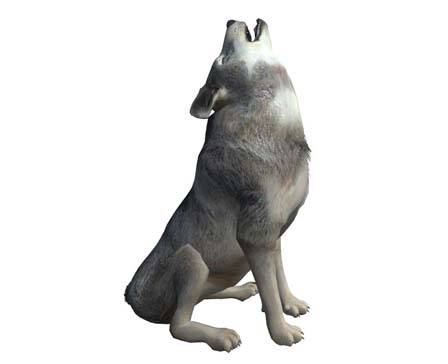 Timber Wolf by Nyilonelycompany