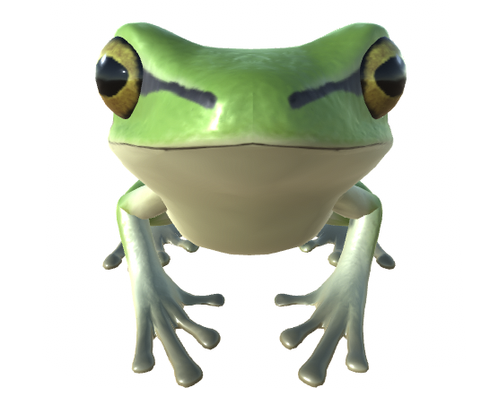 Japanese tree frog