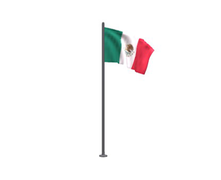 Flag of Mexico by Nyilonelycompany