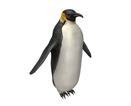 Emperor penguin (Non-Commercial) by Nyilonelycompany