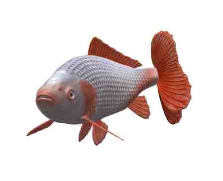 Jikin goldfish by somitsu