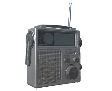 Grundig Radio FR-250 Free AM FM SW