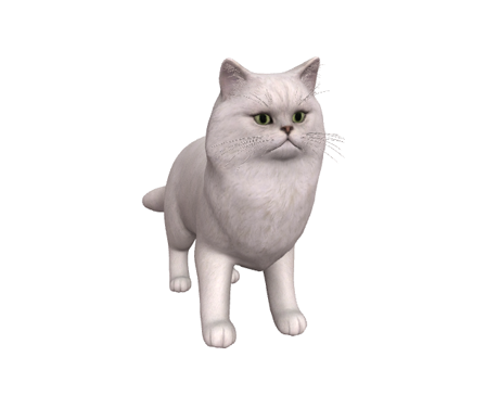 Persian by Nyilonelycompany