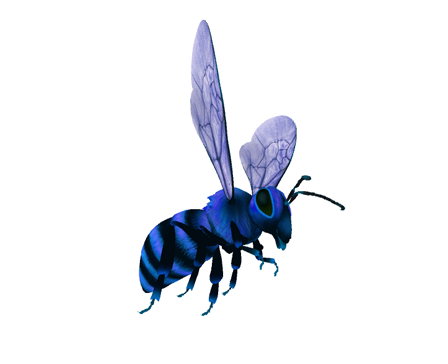 Flying Bee Bird by Imagigoo