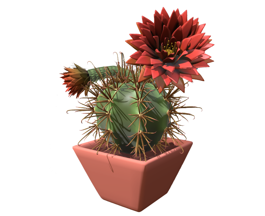 Cactus