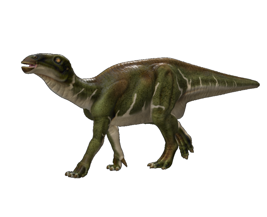 Iguanodon Bernissartensis