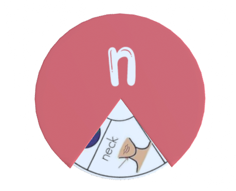 Alphabet Spin & Learn Wheel N n