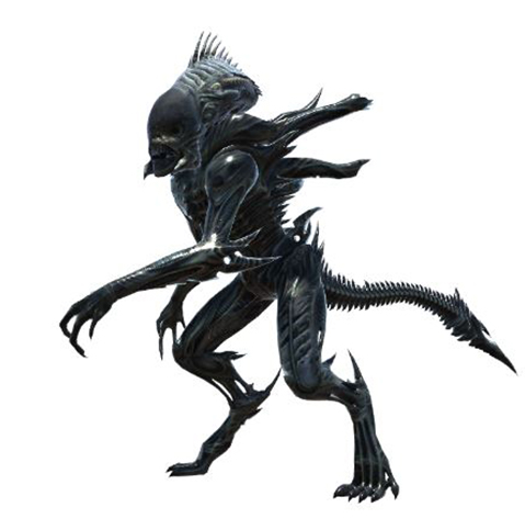 Xeno Raven by Henrique Naspolini