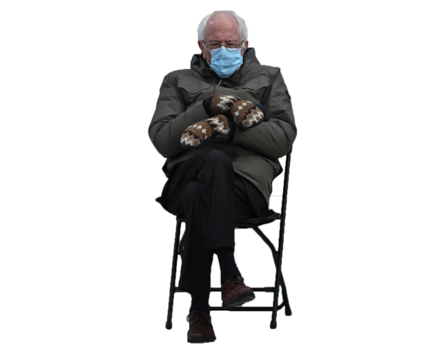 Sitting Bernie by alban