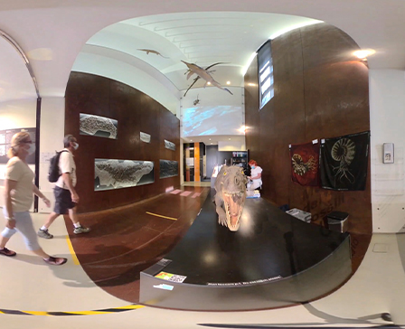 360 MONTE San Giorgio UNESCO