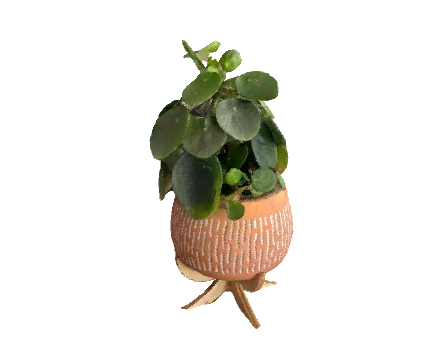 Abby's plant by alban