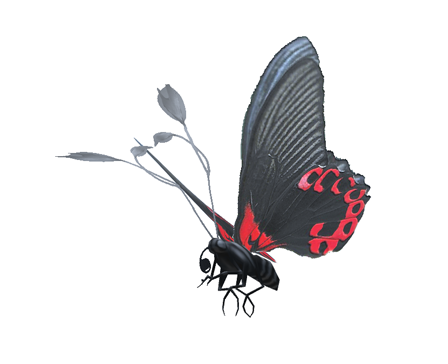 Red butterfly by Liviuflow