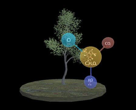 Photosynthesis Tree