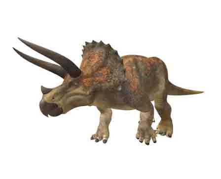 Triceratops Horridus by Kyan0s
