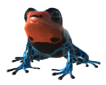 Blessed Frog by KenChoo