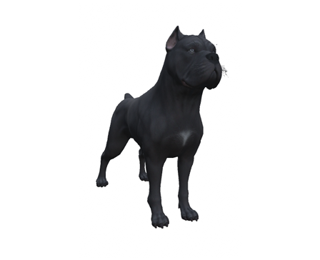 Canecorso by Nyilonelycompany