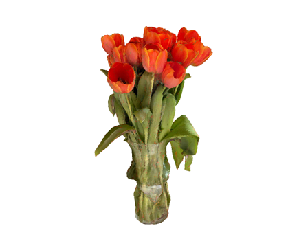 Tulips bouquet by alban