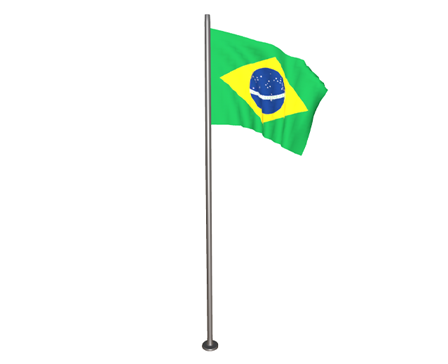 Flag of Brazil by Nyilonelycompany