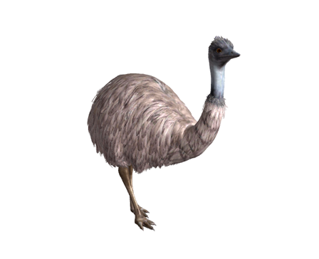 Emu by Nyilonelycompany