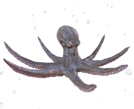 Swimming Octopus by benmonor