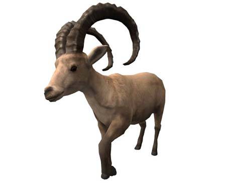 Ipex by Nyilonelycompany