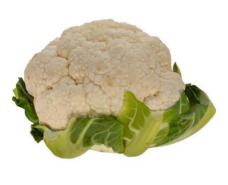 cauliflower by STUDIO DUCKBILL