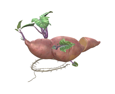 Sweet potato by pieseven