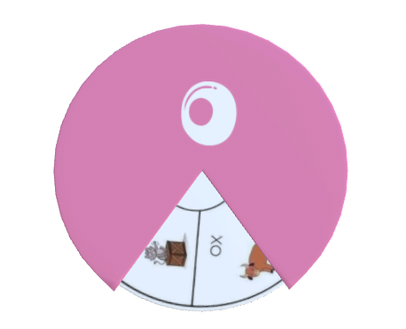 Alphabet Spin & Learn Wheel O o