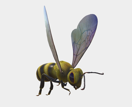 Թռչող մեղու