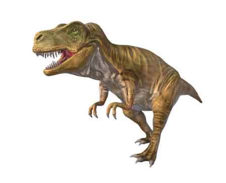 Tyrannosaurus Rex by pikabobalex