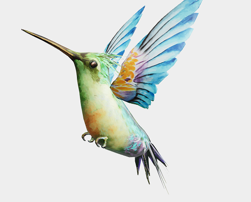 Hummingbird | Flying by TadenStar