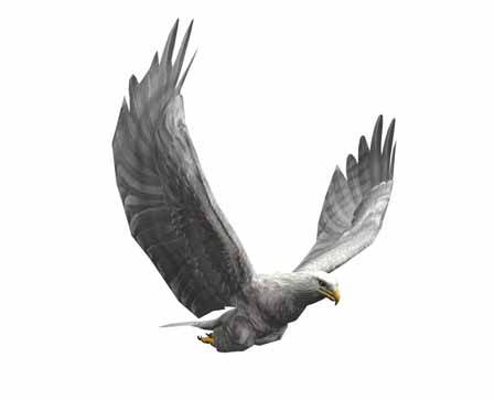 White Eagle by GremorySaiyan