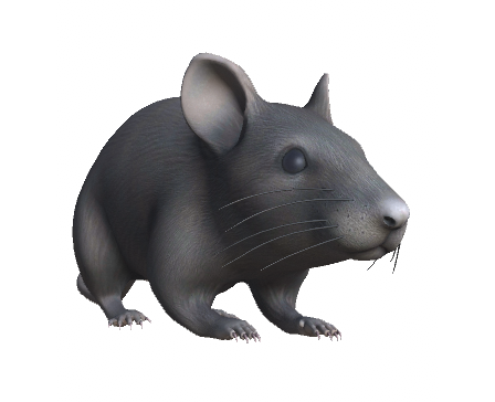 Rat by Nyilonelycompany