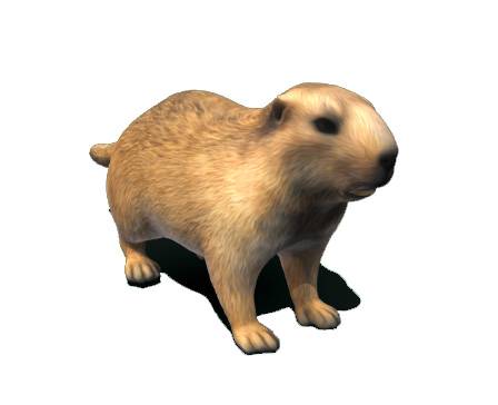 Marmots by Nyilonelycompany