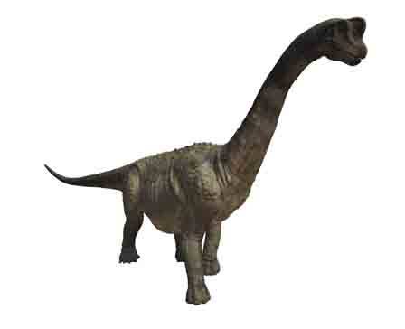 Paluxysaurus by Julian Johnson-Mortimer