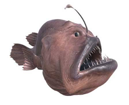 Fish by Nyilonelycompany