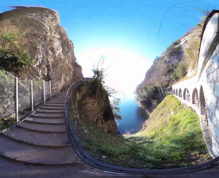 360 GANDRIA path olive trees